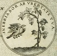 Picture 24 of 811 from Symbola diuina & humana pontificum, imperatorum, regum (1601), leaf 25