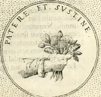 Picture 474 of 811 from Symbola diuina & humana pontificum, imperatorum, regum (1601), leaf 252