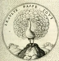 An illustration from Symbola diuina & humana pontificum, imperatorum, regum (1601)
