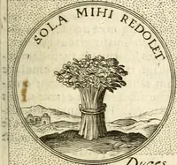 Picture 588 of 811 from Symbola diuina & humana pontificum, imperatorum, regum (1601), leaf 370