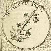 Picture 590 of 811 from Symbola diuina & humana pontificum, imperatorum, regum (1601), leaf 370