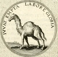 An illustration from Symbola diuina & humana pontificum, imperatorum, regum (1601)