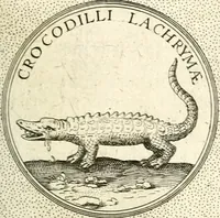 An illustration from Symbola diuina & humana pontificum, imperatorum, regum (1601)