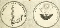 An illustration from Symbola diuina & humana pontificum, imperatorum, regum (1601)