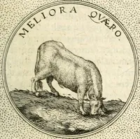 An illustration from Symbola diuina & humana pontificum, imperatorum, regum (1601)