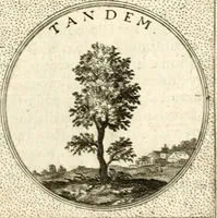 An illustration from Symbola diuina & humana pontificum, imperatorum, regum (1601)