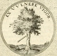 An illustration from Symbola diuina & humana pontificum, imperatorum, regum (1601)