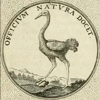 An illustration from Symbola diuina & humana pontificum, imperatorum, regum (1601)