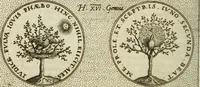 An illustration from Symbola diuina & humana pontificum, imperatorum, regum (1601)