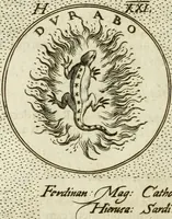 Picture 169 of 811 from Symbola diuina & humana pontificum, imperatorum, regum (1601), leaf 75