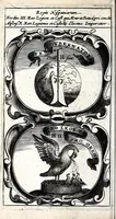 Picture 25 of 56 from Symbola divina & humana pontificum, imperatorum, regum : ex musaeo Octavii de Strada civis Romani (1666), leaf 174