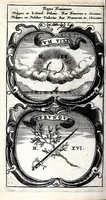Picture 34 of 56 from Symbola divina & humana pontificum, imperatorum, regum : ex musaeo Octavii de Strada civis Romani (1666), leaf 232