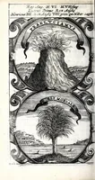 An illustration from Symbola divina & humana pontificum, imperatorum, regum : ex musaeo Octavii de Strada civis Romani (1666)