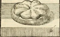 An illustration from Symbolae litterariae, opuscula varia philologica, scientifica, antiquaria, signa, lapides, numismata, gemmas et monumenta medii aevi, nunc primum edita complectentes (1751)