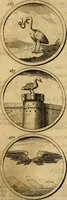 Picture 52 of 169 from Symbola et emblemata (1705), leaf 106