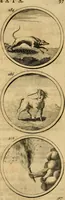 Picture 53 of 169 from Symbola et emblemata (1705), leaf 106