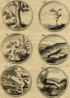 Picture 62 of 169 from Symbola et emblemata (1705), leaf 124