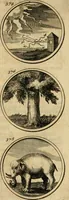 Picture 70 of 169 from Symbola et emblemata (1705), leaf 136