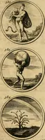 Picture 72 of 169 from Symbola et emblemata (1705), leaf 138