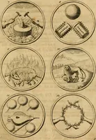 An illustration from Symbola et emblemata (1705)