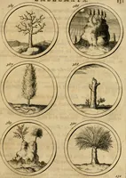 Picture 73 of 169 from Symbola et emblemata (1705), leaf 140