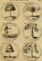Picture 74 of 169 from Symbola et emblemata (1705), leaf 142