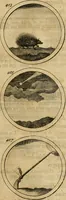 Picture 76 of 169 from Symbola et emblemata (1705), leaf 146