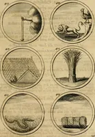 Picture 78 of 169 from Symbola et emblemata (1705), leaf 148
