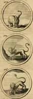 Picture 81 of 169 from Symbola et emblemata (1705), leaf 152