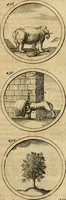 Picture 83 of 169 from Symbola et emblemata (1705), leaf 154