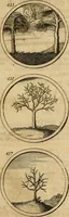 Picture 84 of 169 from Symbola et emblemata (1705), leaf 156