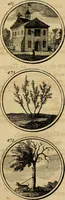 Picture 95 of 169 from Symbola et emblemata (1705), leaf 168
