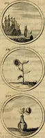 Picture 110 of 169 from Symbola et emblemata (1705), leaf 186