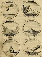 Picture 118 of 169 from Symbola et emblemata (1705), leaf 196