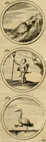 Picture 120 of 169 from Symbola et emblemata (1705), leaf 198