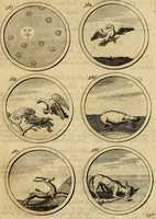 Picture 124 of 169 from Symbola et emblemata (1705), leaf 206