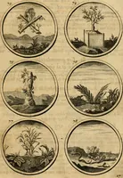 Picture 16 of 169 from Symbola et emblemata (1705), leaf 36