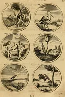 An illustration from Symbola et emblemata (1705)