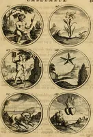 Picture 23 of 169 from Symbola et emblemata (1705), leaf 50
