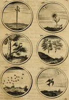 Picture 35 of 169 from Symbola et emblemata (1705), leaf 74
