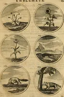 Picture 37 of 169 from Symbola et emblemata (1705), leaf 78