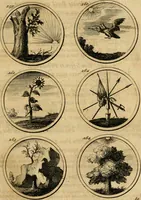 Picture 48 of 169 from Symbola et emblemata (1705), leaf 98