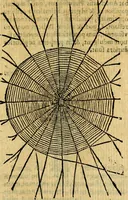 An illustration from Symbola heroica (1583)