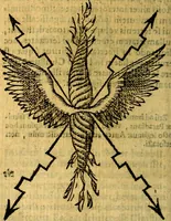 An illustration from Symbola heroica (1583)