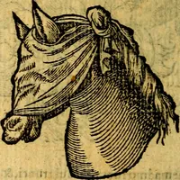 An illustration from Symbola heroica (1583)