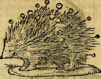 Picture 89 of 213 from Symbola heroica (1583), leaf 154