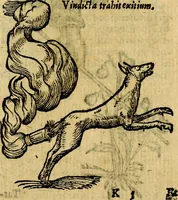 Picture 91 of 213 from Symbola heroica (1583), leaf 156