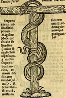 An illustration from Symbola heroica (1583)