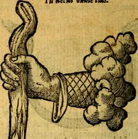 Picture 97 of 213 from Symbola heroica (1583), leaf 163