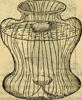 An illustration from Symbola heroica (1583)